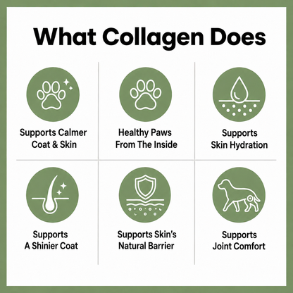 SecondGlowe® Premium Liquid Collagen